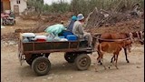 استغاثة أهالي عزبة 241 في البحيرة بسبب انقطاع مياه الشرب (6)