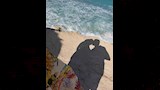 رانيا يوسف وزوجها