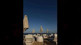 زوجة إمام عاشور (12)