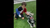 ابن أحمد حجازي