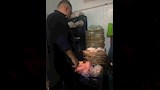 الحملة الصحية 