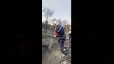 حريق الجزائر (4)