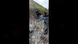 حريق الجزائر (2)