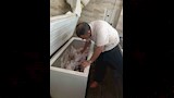 ضبط لحوم ودواجن فاسدة ومنشآت مخالفة بالأسواق (3)