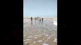 شاطئ بركة غليون