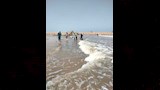 مشهد من الشاطئ