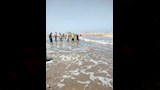 صورة توضح البحث عن احد الغرقى بشاطئ بركة غليون