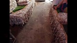 مياه الصرف الصحي تداهم منازل منطقة الشيخ هارون (5)