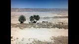 عين آمور الخرائب العامرة  (6)