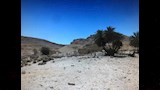 عين آمور الخرائب العامرة  (12)