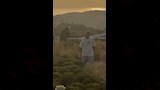 النجم جاستن بيبر
