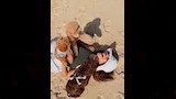 يارا السكري تستمتع بالبحر مع كلابها (1)