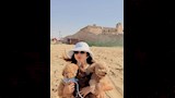 يارا السكري رفقة كلابها (2)