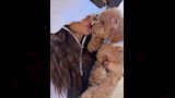 يارا السكري رفقة كلابها (1)