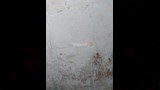 لماذا أزيلت مئذنة مسجد المجذوب بأسيوط؟ (16)