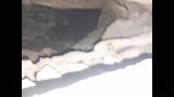 لماذا أزيلت مئذنة مسجد المجذوب بأسيوط؟ (19)