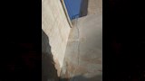 لماذا أزيلت مئذنة مسجد المجذوب بأسيوط؟ (21)