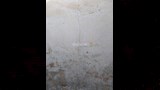لماذا أزيلت مئذنة مسجد المجذوب بأسيوط؟ (23)