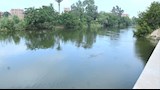 زيارة وزير الري لمحافظة البحيرة....._