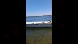 جهود البحث عن ضحايا مذبحة سوهاج6  