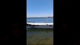 جهود البحث عن ضحايا مذبحة سوهاج4  