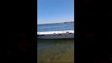 جهود البحث عن ضحايا مذبحة سوهاج 5 