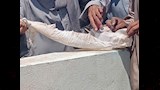العثور على كفن وطلاسم مدفونة  (2)_4