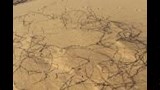 اسلاك شائكة وغرف حراسة وممرات حجرية بجبل الانجليز  (4)