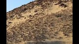 قمة جبل الانلجيز  (1)