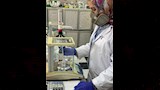 الزراعة تكشف حصاد يونيو (4)