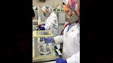 الزراعة تكشف حصاد يونيو (2)