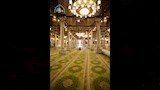 مسجد سيدنا الحسين بعد تغيير السجاد (5)