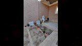 شمس البارودي في زيارة لقبر الفنان حسن يوسف