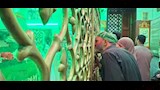 زحف المحبين إلى أبوتيج في ختام مولد  الفرغل  (12)