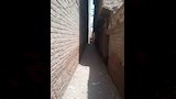 محافظ أسيوط يتابع استعدادات تسليم مشروعات حياة كريمة بصدفا  (7)