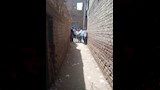 محافظ أسيوط يتابع استعدادات تسليم مشروعات حياة كريمة بصدفا  (2)