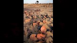 درب أبو بلاص  (3)