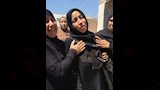 ثعابين الكوبرا تطارد مزارعي الشرقية (9)