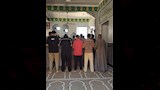 ثعابين الكوبرا تطارد مزارعي الشرقية (8)
