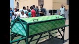 ثعابين الكوبرا تطارد مزارعي الشرقية (12)