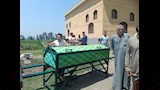 ثعابين الكوبرا تطارد مزارعي الشرقية (13)