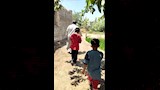 أهالي الشرقية المتضررين من الثعابين 7