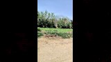 أهالي الشرقية المتضررين من الثعابين 9