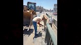 تنفيذ أعمال رفع كفاءة عدد من المحاور والطرق الرئيسية (2)