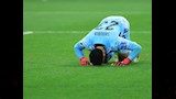 شوبير (6)
