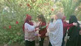 الثانوية العامة (5)