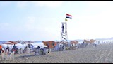 استقرار حالة البحر بشواطئ الإسكندرية (1)