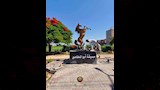 الحصان الأصفر __1