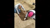 مدينة الهكسوس