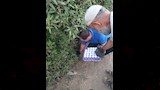 وضع البيض في الأماكن الرطبة